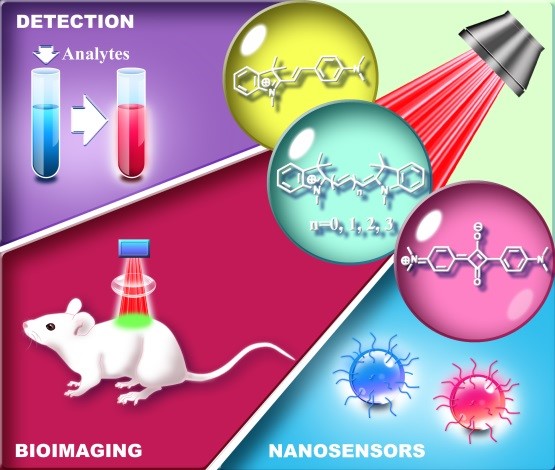基于菁染料平臺熒光探針的最新進(jìn)展-精細(xì)化工重點(diǎn)實(shí)驗(yàn)室